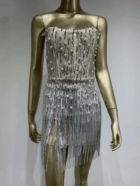 Silver Fringe Sequin Dress